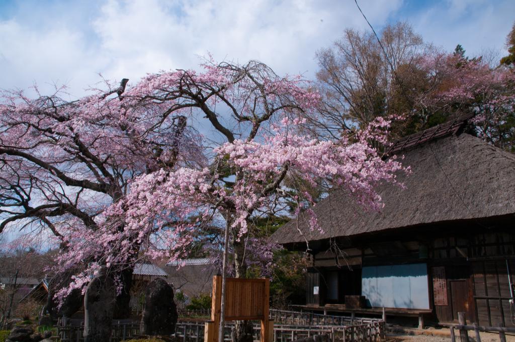 Villa Tombouctou Fujimi Exterior foto